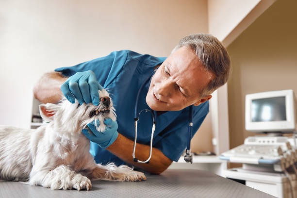 Best Weekend Emergency Dentist in Southgate, KY
